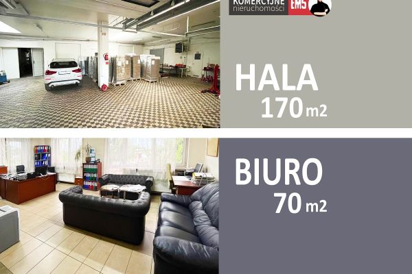 mediarent@halolokale.pl_lw_2760_1.jpg