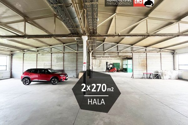 mediarent@halolokale.pl_lw_2767_1.jpg