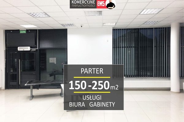 mediarent@halolokale.pl_lw_2906_1.jpg