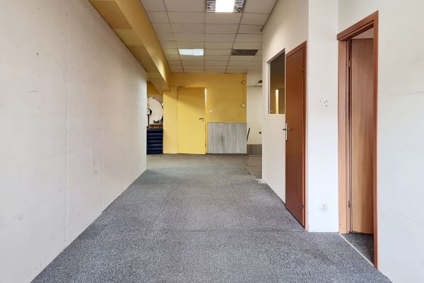 mediarent@halolokale.pl_lw_3462_1.jpg