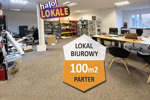 mediarent@halolokale.pl_lw_3676_1.jpg