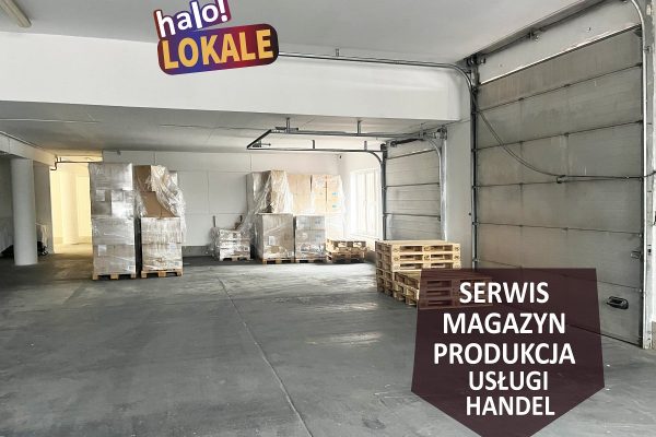 mediarent@halolokale.pl_lw_3722_1.jpg