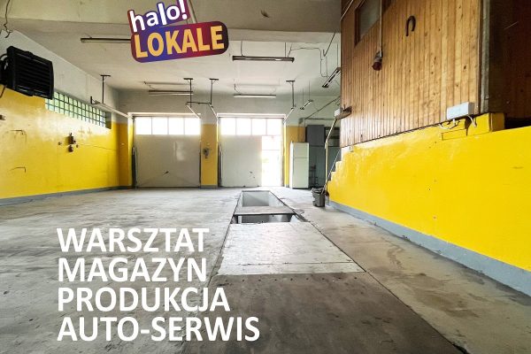 mediarent@halolokale.pl_lw_3816_1.jpg